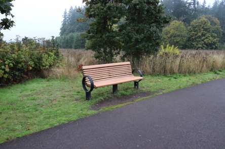 Transition to a bench on natural surface off the paved Tonquin Trail – may have a lip Transition to a bench on natural surface off the paved Tonquin Trail – may have a lip